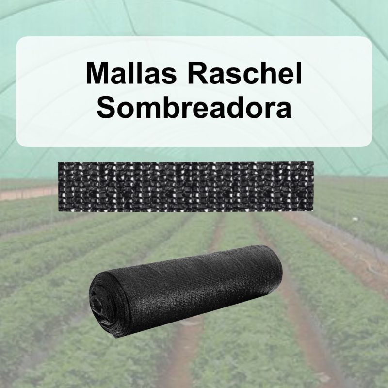 Malla Raschel